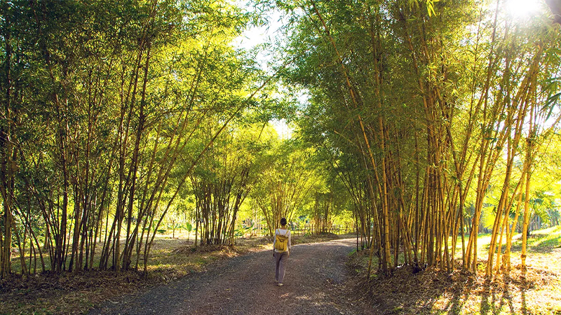 Mùa thu ở Luang Prabang kéo dài từ tháng 8 đến tháng 10.