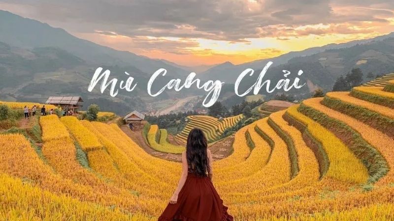 Lịch trình du lịch Mù Cang Chải - Yên Bái 3 ngày 2 đêm