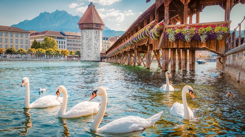 Lucerne là thành phố cổ với phong cảnh tuyệt đẹp