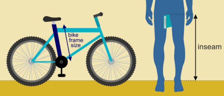 Bạn nên chọn xe đạp có kích thước phù hợp với chiều cao giúp thoải mái khi di chuyển trên đường
