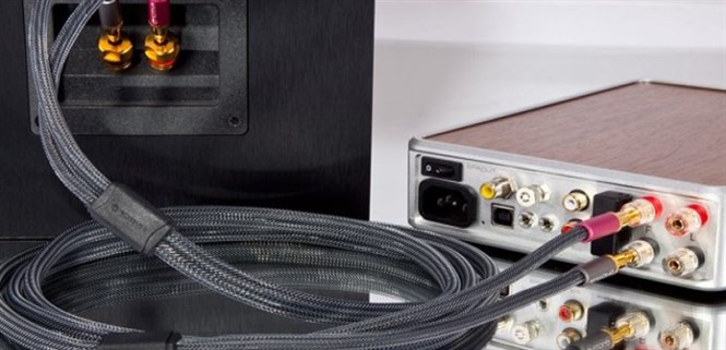 Dây loa là gì? Các loại dây loa thông dụng, tiêu chí chọn mua dây loa tốt