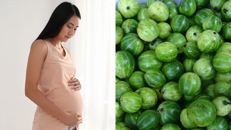 Phụ nữ mang thai vẫn có thể ăn được cà đắng