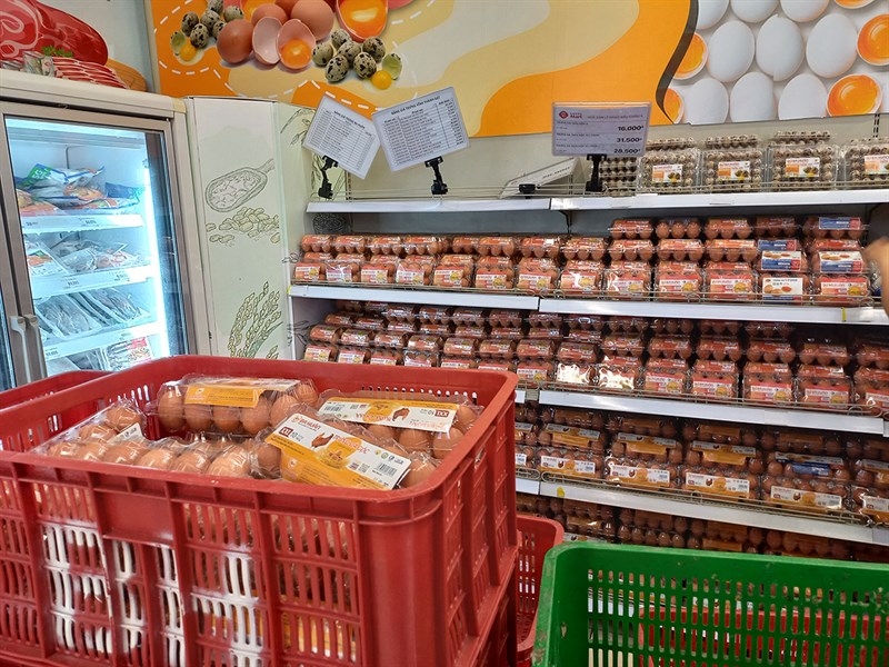 Trứng gà, trứng vịt Trứng gà, trứng vịt