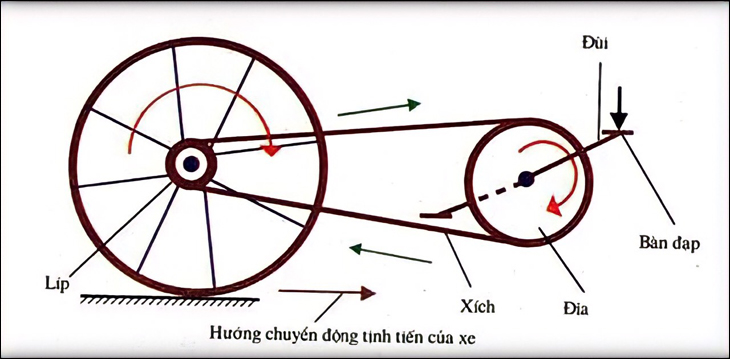 Hệ thống truyền lực xe đạp