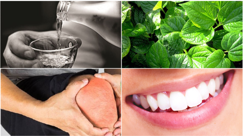 Trong các bài thuốc dân gian sử dụng cây lá Lốt có cả lá Lốt ngâm rượu