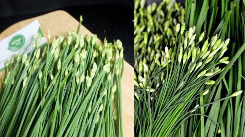 What is chives (scallions)? What are the benefits of eating chives?