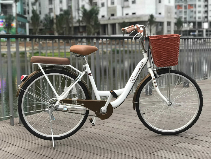 Xe đạp đường phố mini