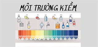 Hướng dẫn sử dụng ph lớn hơn 7 là môi trường gì và tầm quan trọng của việc đo pH