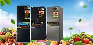 6 lý do chọn mua tủ lạnh ngăn đá dưới Panasonic dung tích 150 - 300 lít