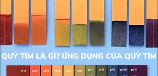 Dung dịch quỳ tím là gì?