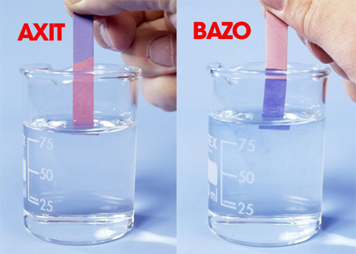 Bazo làm quỳ tím chuyển sang màu gì? Tìm hiểu hiện tượng hóa học thú vị này