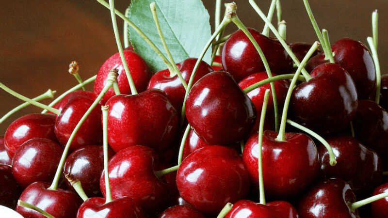 100g cherry chứa khoảng 63 calo
