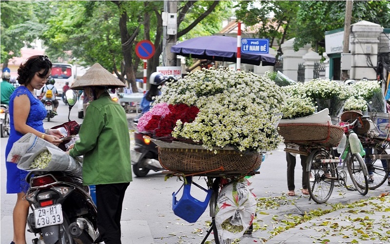 Mùa hoa cúc họa mi, nhiều gánh sản phẩm rong ở những phố Hà Nội