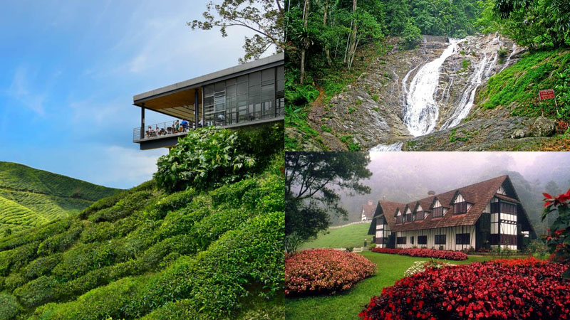 Những lưu ý khi đi du lịch Cameron Highlands?