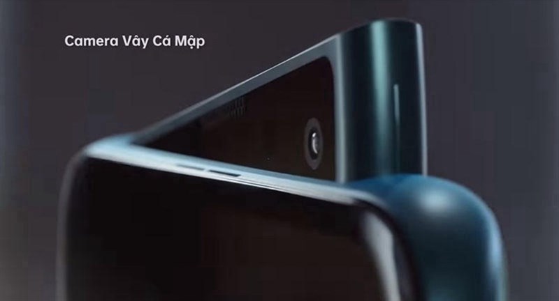 camera vay cá mập