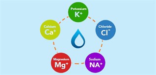 Chất điện giải là gì? Cách bổ sung chất điện giải cho cơ thể