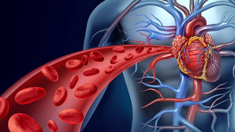 Tốt cho hệ tim mạch cân bằng chỉ số cholesterol