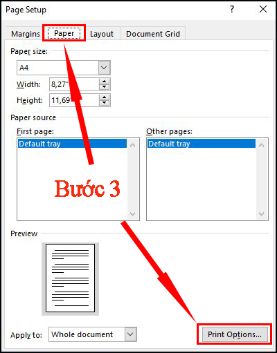 Ở hộp thoại Page Setup, chọn mục Paper và nhấn vào Print Options.