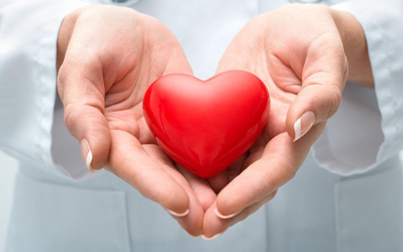 Nấm kim châm giúp tăng cường sức khỏe tim mạch