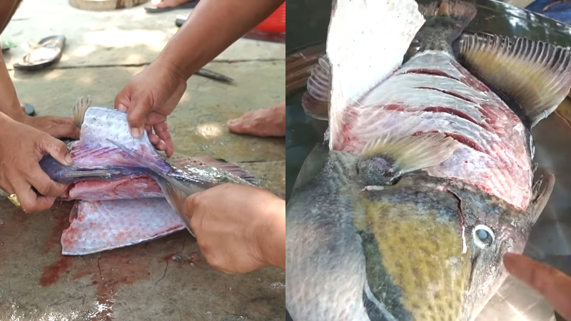 Rửa sạch cá và lột bỏ phần da cứng của cá bò giáp