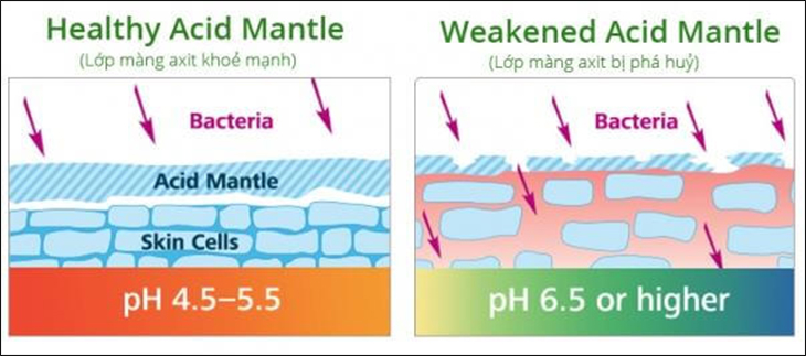 Lớp màng axit mantle là lớp màng bảo vệ làn da khỏi những tác nhân gây gại