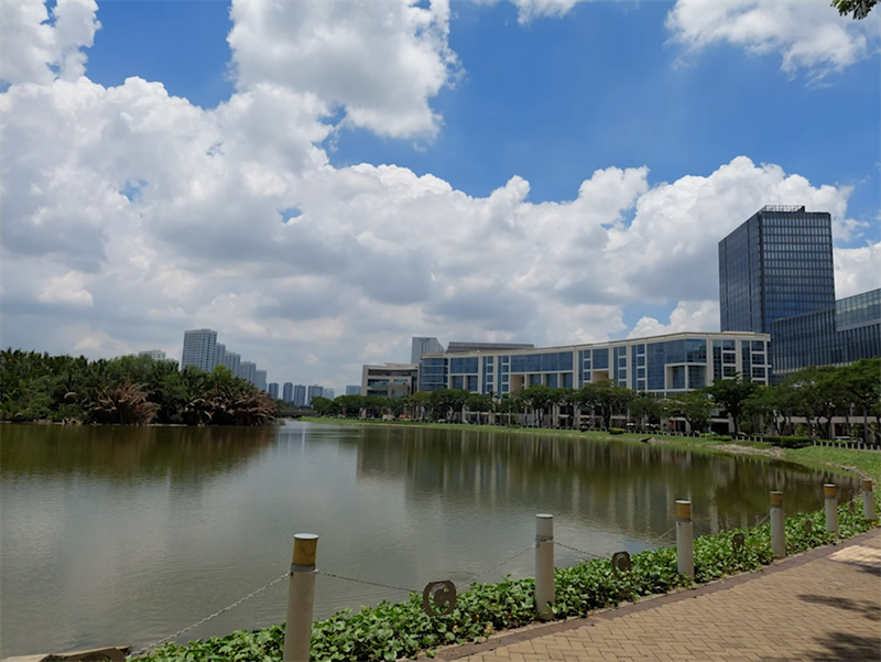 Ảnh chụp trong điều kiện đủ sáng từ camera chính của OPPO Reno6 Z 5G.