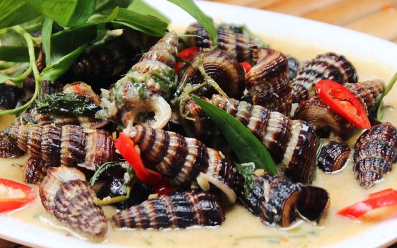2 How to make fried snails with coconut and fried with lemongrass and chili peppers delicious and simple at home