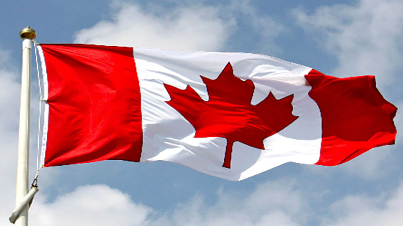 Cây phong lá đỏ tương trưng cho người Canada