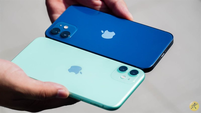 Những chiếc iPhone màu xanh dương, xanh bạc hà mang vẻ đẹp của đại dương to lớn, cỏ cây xanh tươi