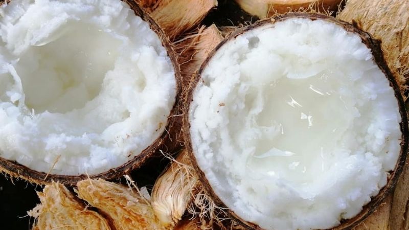 What is coconut wax that is extremely expensive? Ways to make delicious coconut wax