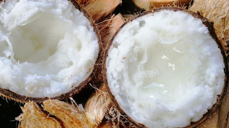 What is coconut wax that is extremely expensive? Ways to make delicious ...