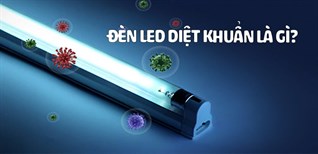 Đèn LED diệt khuẩn là gì? Có tốt không? Có nên mua không?