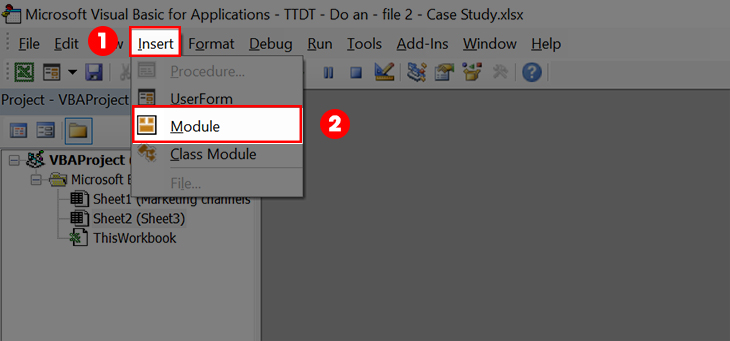 Nhấn chọn Insert > Chọn Module