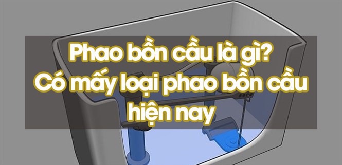Phao bồn cầu là gì? Có bao nhiêu loại phao hiện nay: Ưu, nhược điểm