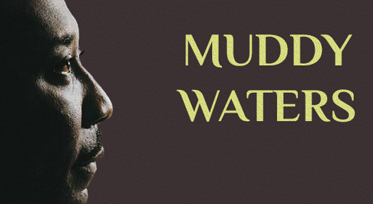 Muddy Waters Muddy Waters