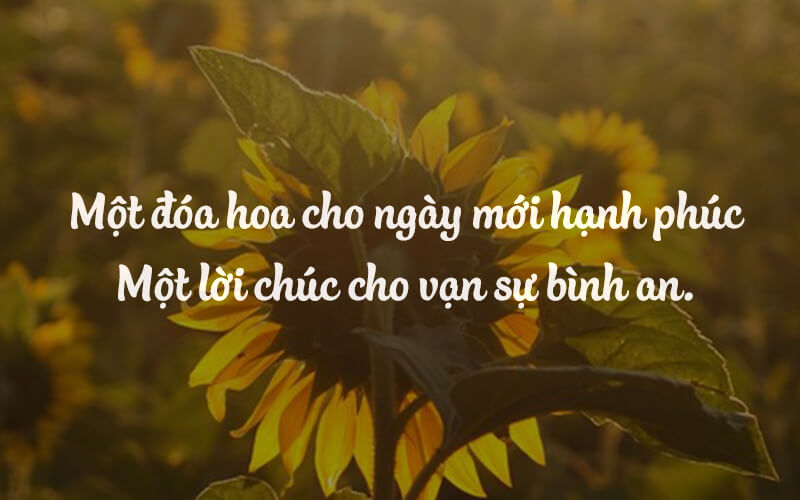 Lời chúc là một trong những cách thể hiện tình cảm và sự quan tâm đối với người khác. Hãy xem hình ảnh này để tìm hiểu thêm về những lời chúc ý nghĩa và tốt đẹp nhất dành cho người thân yêu của bạn!