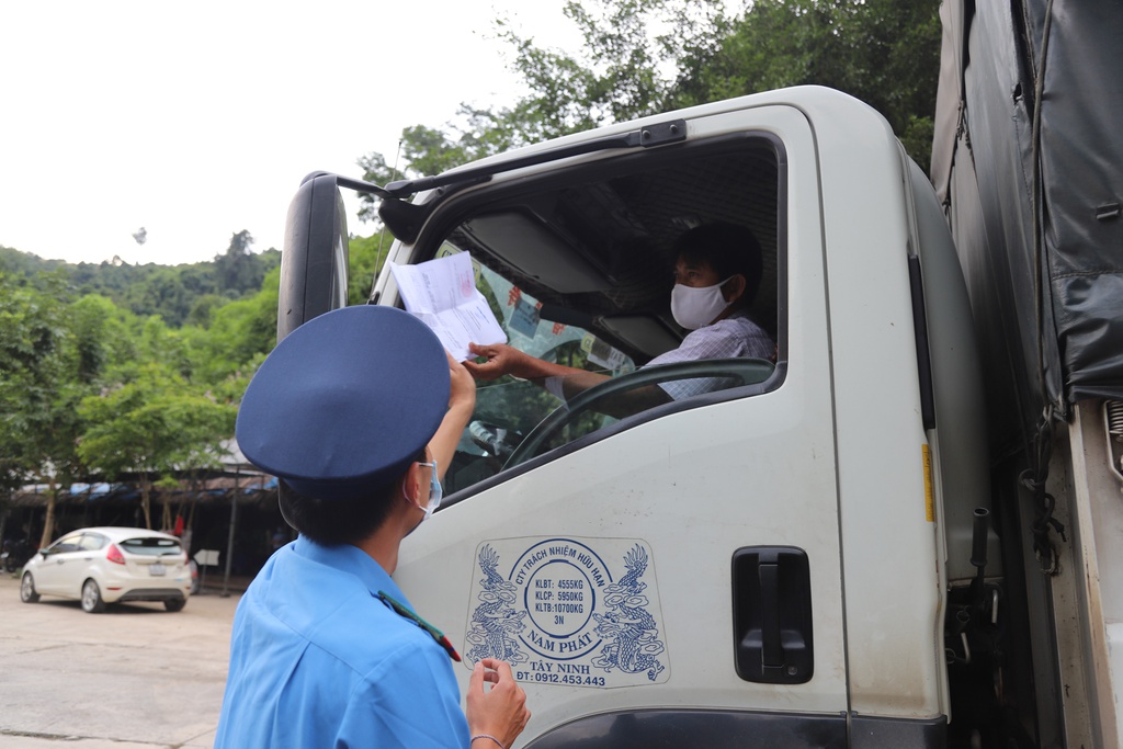 Types of vehicles issued with Green Lane card