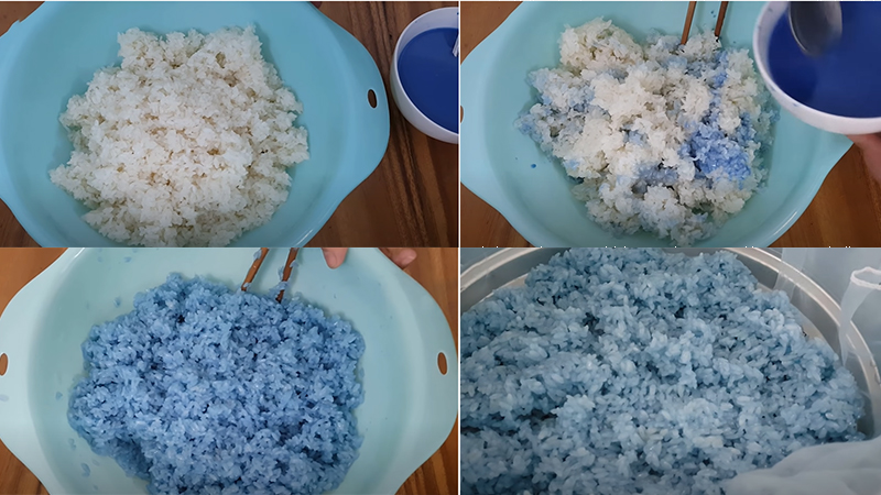 Hấp xôi hoa đậu biếc Hấp xôi hoa đậu biếc