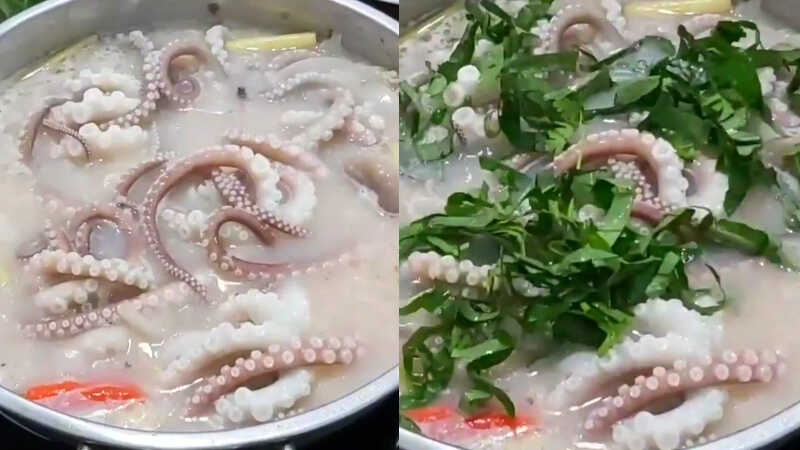 How to make crispy and delicious dipped octopus