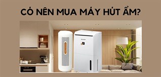 Có nên mua máy hút ẩm hay không? 5 tiêu chí chọn mua