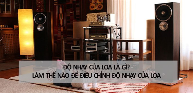 Độ nhạy của loa là gì? Làm thế nào để điều chỉnh độ nhạy của loa hợp lý