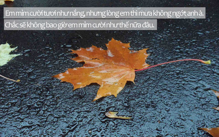 câu nói về mưa thả thính