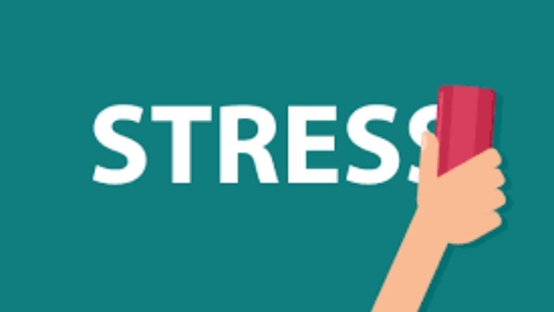 Sử dụng tảo xoắn Nhật Bản có thể giảm stress và cải thiện giấc ngủ