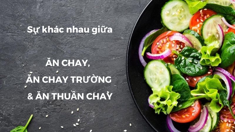 Sự khác nhau của ăn chay, ăn chay trường và ăn thuần chay