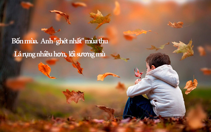 Nhấn vào ảnh để phóng to Bốn mùa, anh ghét nhất mùa thu