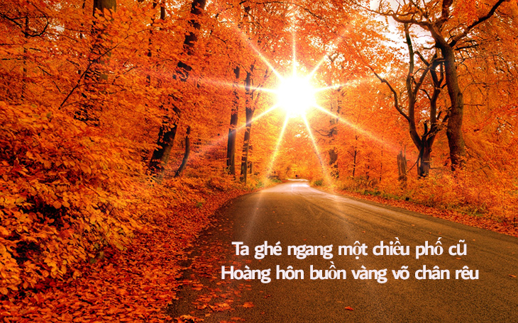 Ta ghé ngang một chiều phố cũ. Hoàng hôn buồn vàng võ chân rêu