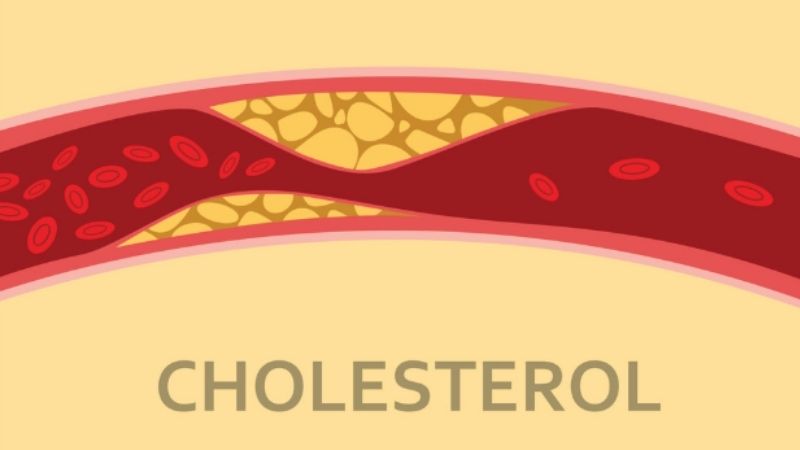 Quả bứa giúp điều hòa Cholesterol