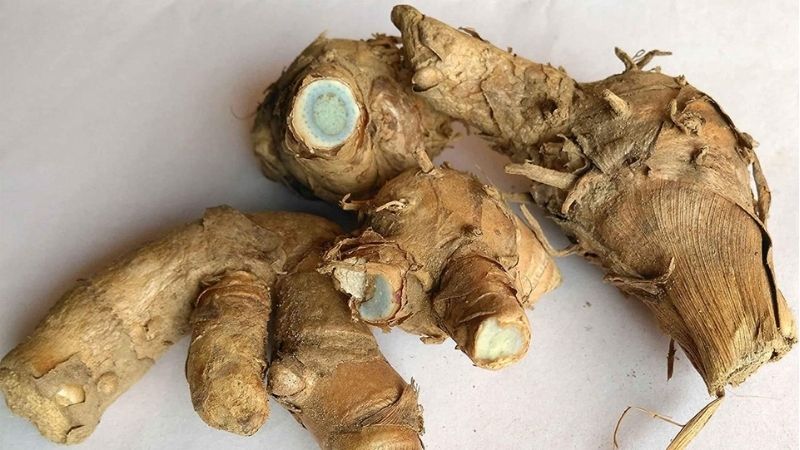 What is Black Turmeric? What effect? Price and usage