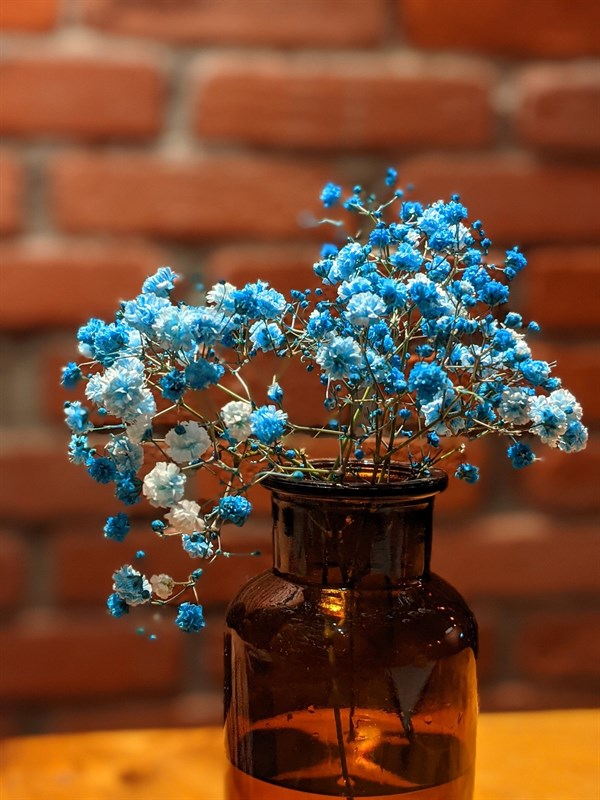 Cách tải Google Camera 8.3 mới Cách tải Google Camera 8.3 mới