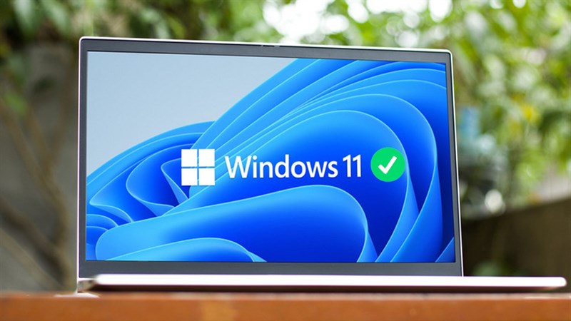 Cách kiểm tra Windows 11 có bản quyền hay không